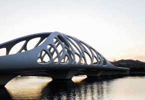 Steel Structure Coral shellfish bridge BY-132