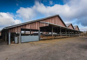 24 Cattle&Sheep Barn 3785m2 Australian