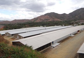 106x14.5x3m Poultry house for Dutch BY -218