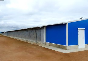 10 Sets Poultry House 22500 m2 for  Algeria BY-211