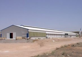 Poultry House for Sudan BY-219