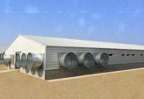 The Poultry house for Peru  7000m2 BY-214