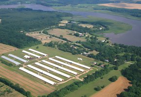 The Poultry House for American BY-217