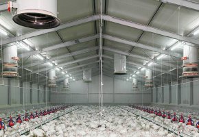 Poultry house for Canada BY-212