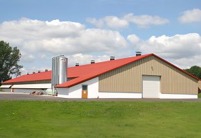 The Steel Chicken House for Australia 5000m2 BY-215