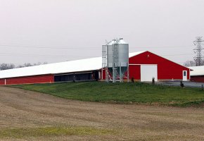 Poultry house for Canada BY-212