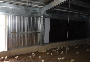 106x14.5x3m Poultry house for Dutch BY -218