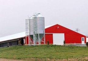 Poultry house for Canada BY-212